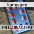 Kamagara 06